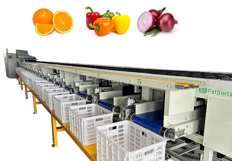 images/1702542075448bell pepper weight sorting machine.jpg